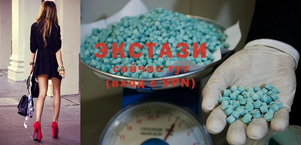 гашик Пересвет