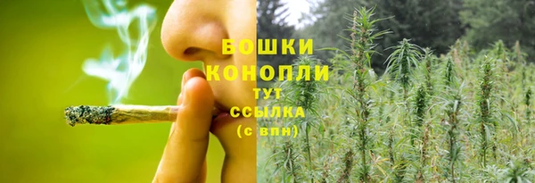 сатива Переславль-Залесский